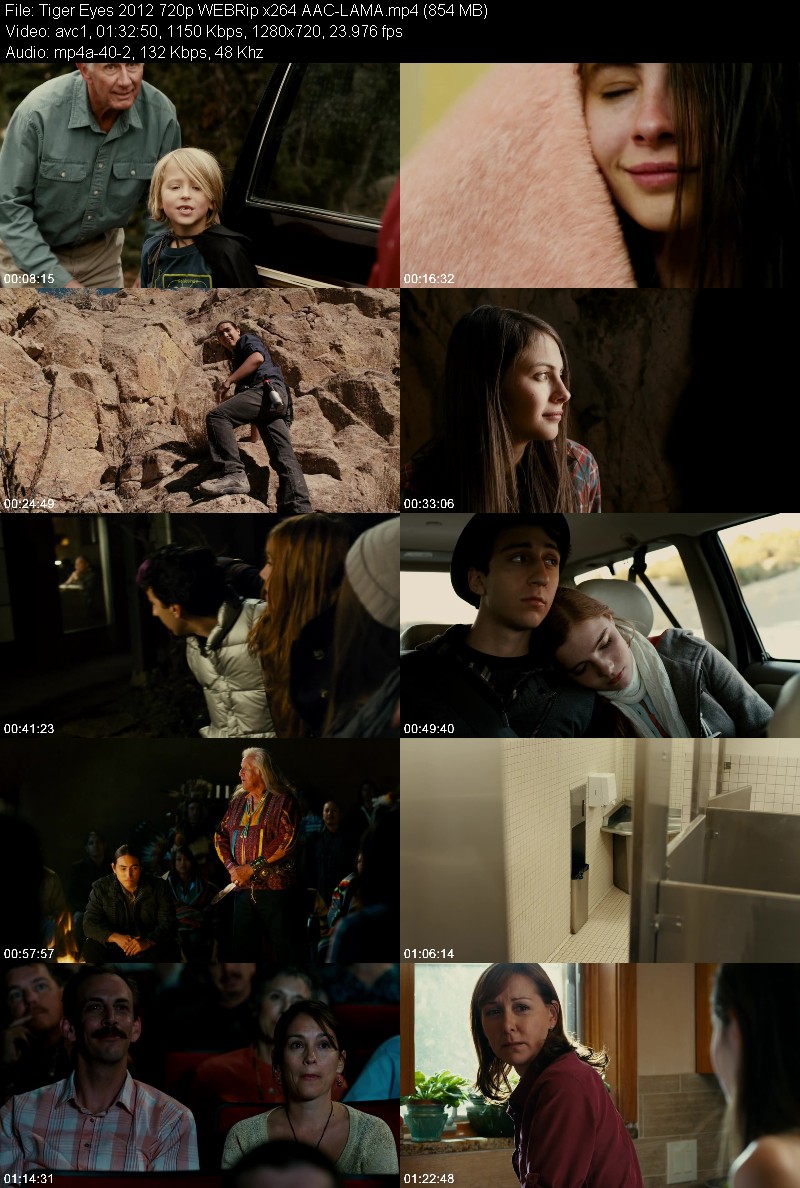 Tiger Eyes (2012) 720p WEBRip-LAMA 22430027c9fbc5a37c152f95db43baad