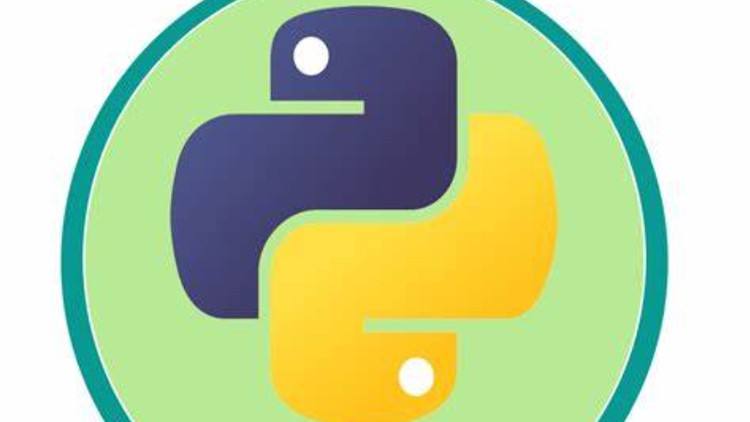 The Python Problem-Solver's Toolkit 300 Hands-On Exercises