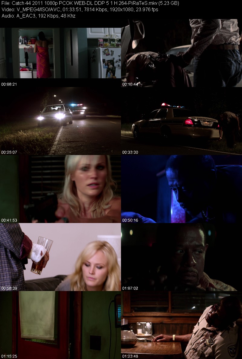 Catch 44 2011 1080p PCOK WEB-DL DDP 5 1 H 264-PiRaTeS 4398b26d1abcbf8974f6ca6446dc94bf