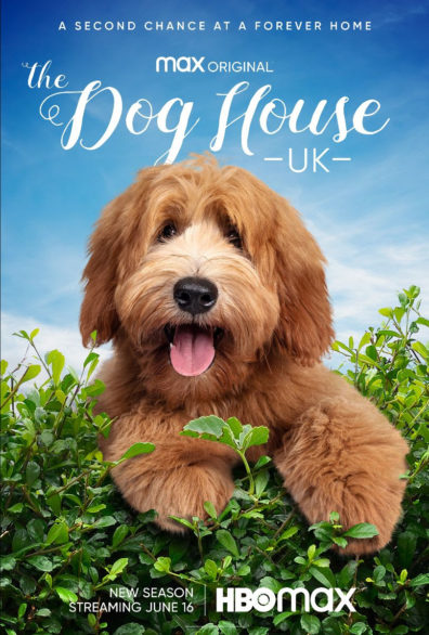The Dog House S05E02 1080p ALL4 WEB-DL AAC2 0 H 264-NTb