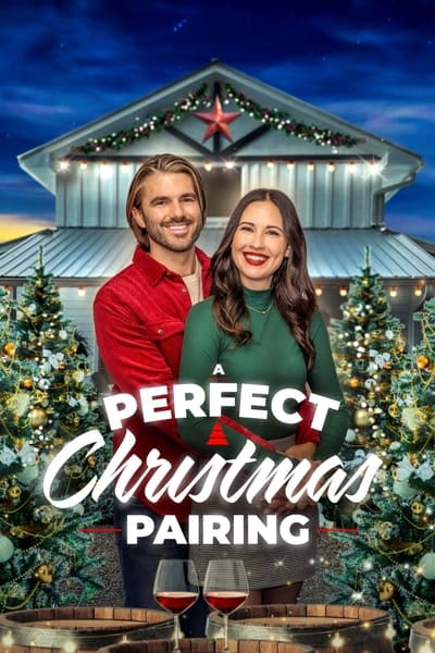 A Perfect Christmas Pairing 2023 1080p AMZN WEB-DL DDP5 1 H 264-FLUX 8f245cb21e0a8b72ffe12712b6f6b4da