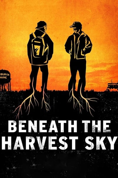 Beneath the Harvest Sky 2013 1080p BluRay x265 Ce4f40a53240a267f58890ca560a89da