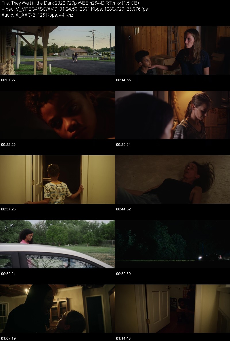 They Wait in the Dark 2022 720p WEB h264-DiRT 9553980891ec241944e46b6def0750e2