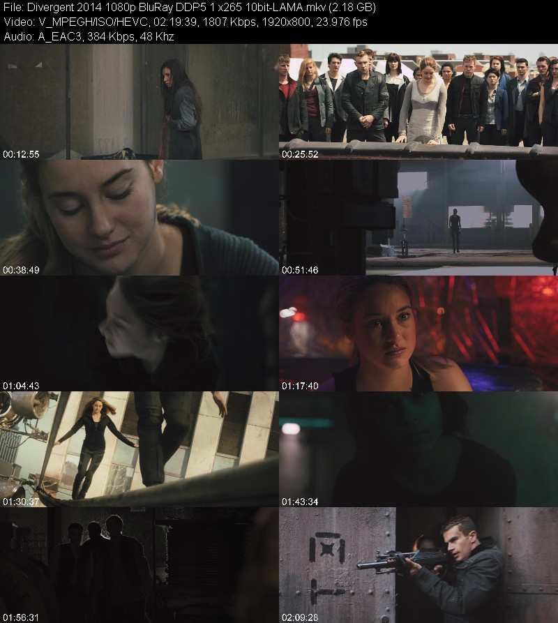 Divergent 2014 1080p BluRay DDP5 1 x265 10bit-LAMA 9d93a73973956640128f3d21c09f7502
