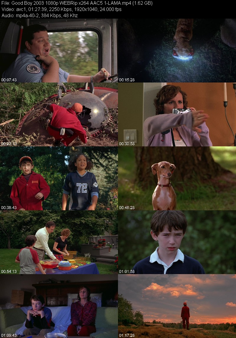 Good Boy (2003) 1080p WEBRip 5 1-LAMA 412b67873afc48973ca6cce2ef6d8d48