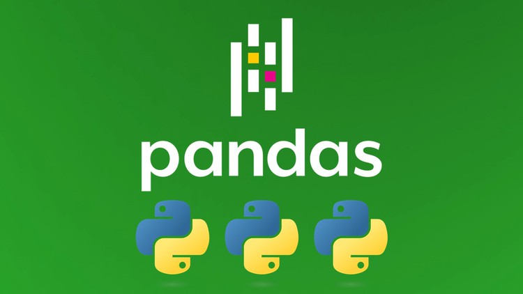 Master Pandas and Python for Data Handling