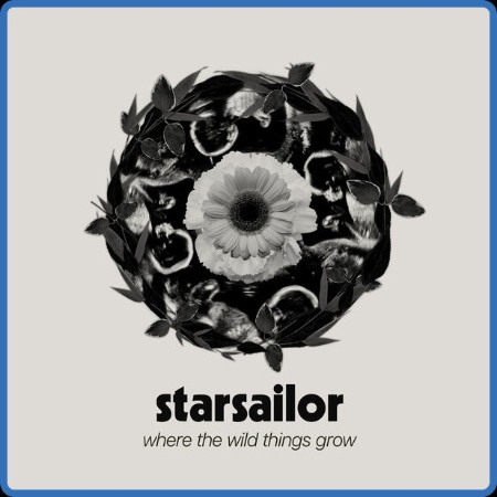 Starsailor - Where The Wild Things Grow (2024)