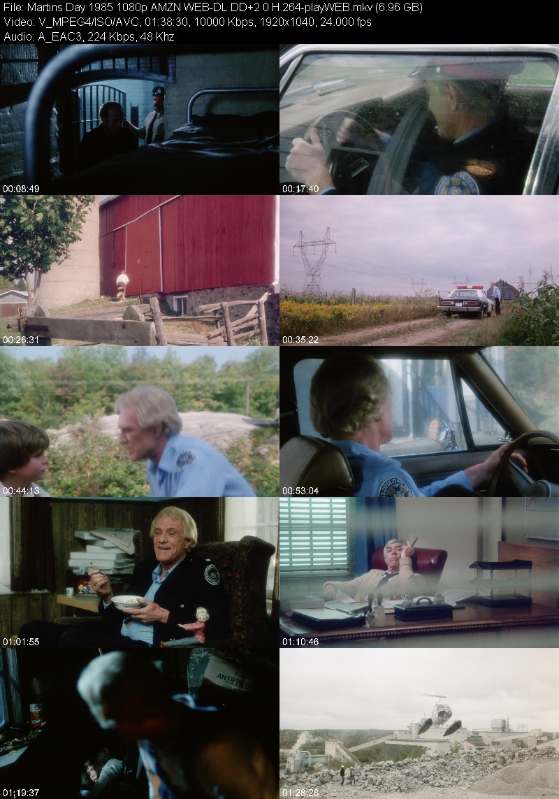 Martins Day 1985 1080p AMZN WEB-DL DD+2 0 H 264-playWEB 071f07525912948c6d1f73df2e2bf118