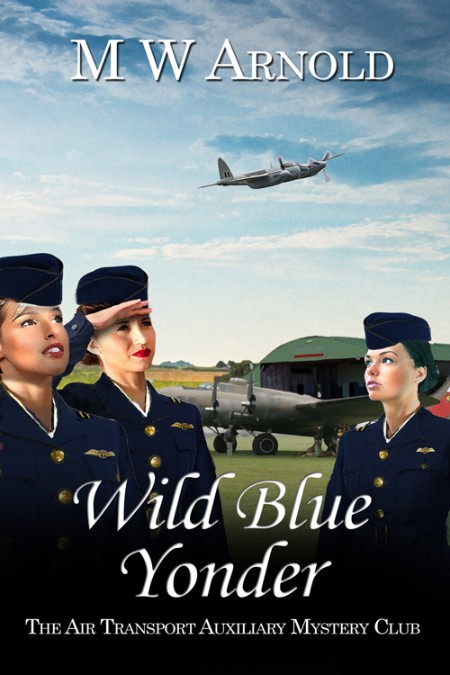 Wild Blue Yonder by M. W. Arnold 7a9ca09f60b29a8c5819e87b48721e22