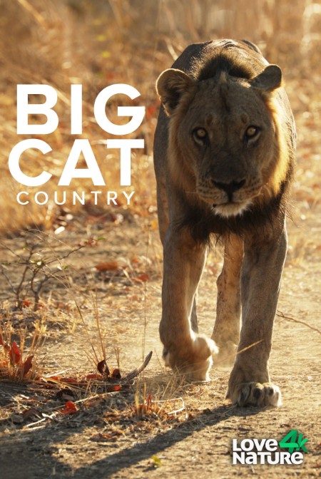 Big Cat Country S01E02 Strength in Sisterhood 1080p AMZN WEB-DL DDP2 0 H 264-NTb