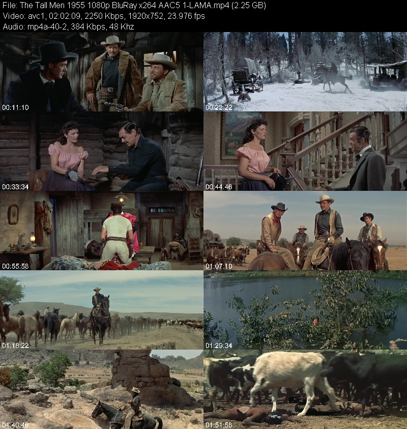 The Tall Men (1955) 1080p BluRay 5 1-LAMA 28539133d351fd50dda24f9bcc80c042