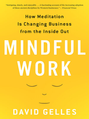 Mindful Work by David Gelles C1604a23f3ec856449ebdc4239e3677f