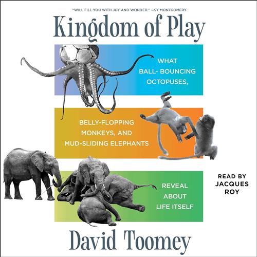 Kingdom of Play [Audiobook]