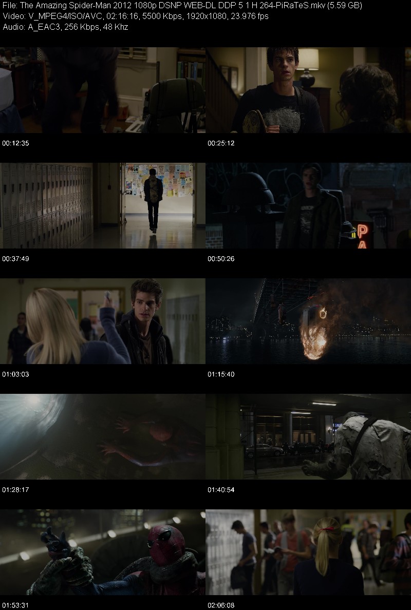 The Amazing Spider-Man 2012 1080p DSNP WEB-DL DDP 5 1 H 264-PiRaTeS 7d9f45f53bdfd0021ded842f43d5e2d9