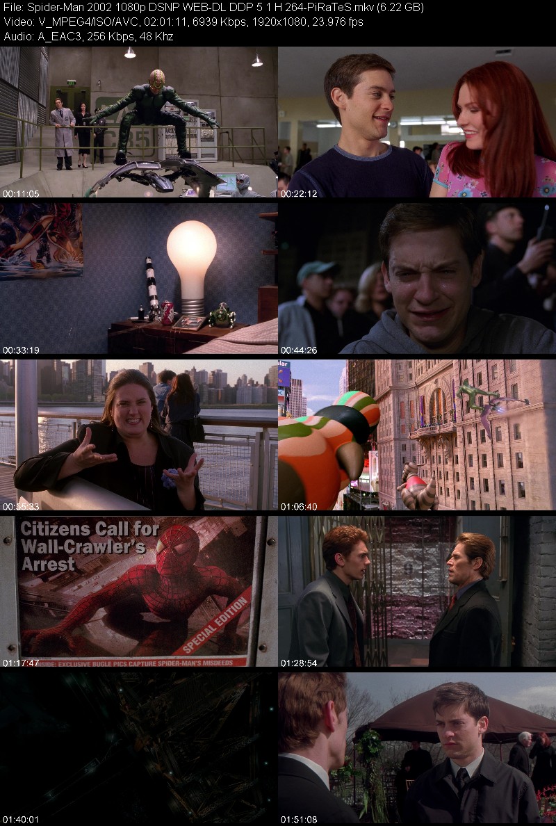 Spider-Man 2002 1080p DSNP WEB-DL DDP 5 1 H 264-PiRaTeS C0766cf054f4b9ab6176931b537e81da