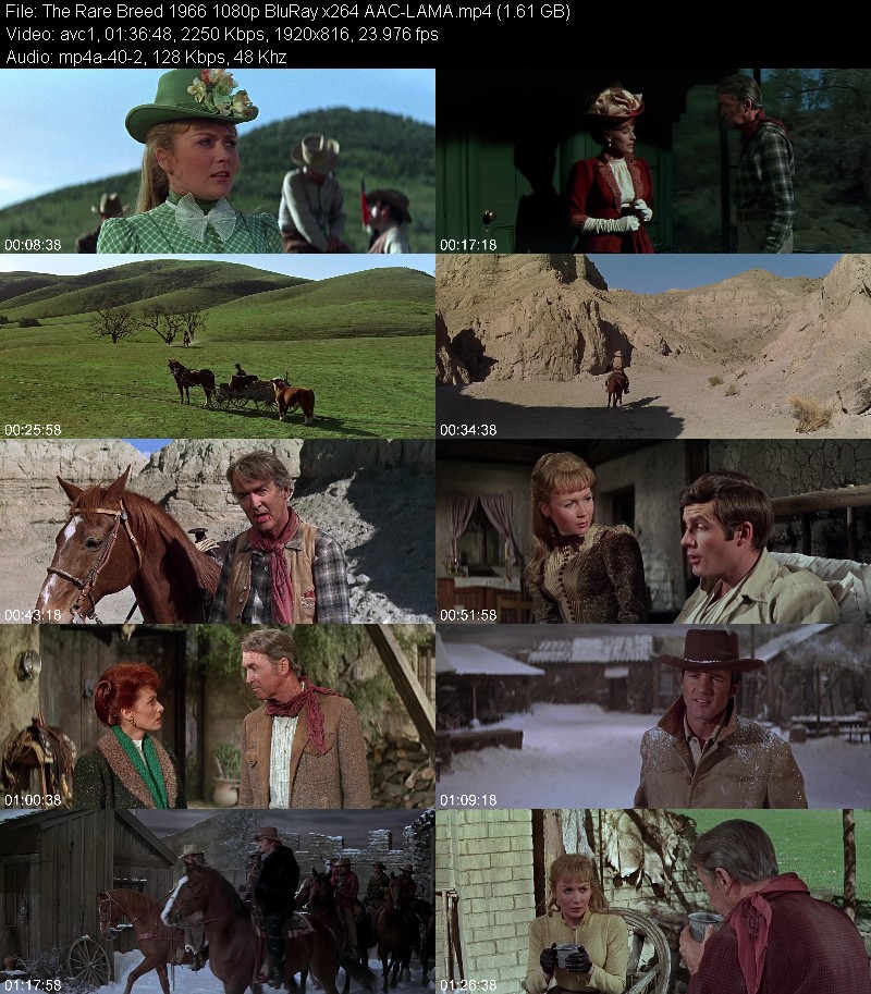 The Rare Breed (1966) 1080p BluRay-LAMA C1b4bf3e1c348c208c2f93fc3a9ec3ea