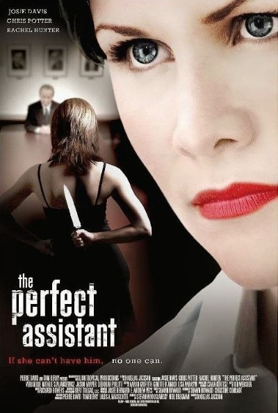 The Perfect Assistant (2008) 720p WEBRip-LAMA