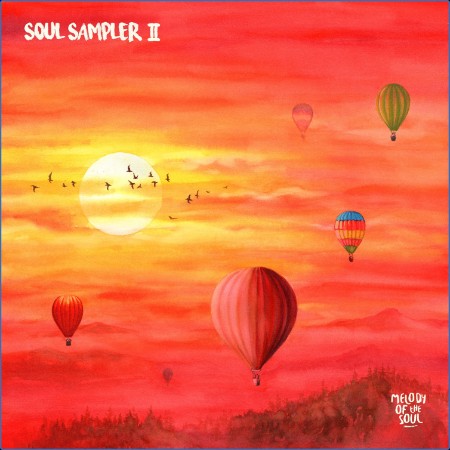 VA - Soul Sampler II 2024