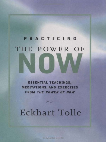 Practicing the Power of Now by Eckhart Tolle 16320ed305db17f9f85a3bcdfe65ed7d