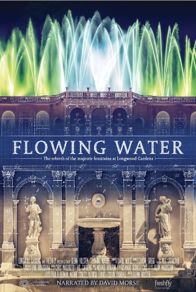 Flowing Water (2017) 720p BluRay-LAMA