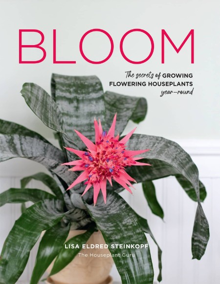 Bloom by Lisa Eldred Steinkopf 556b27ca59621a7907b19d40c027c849