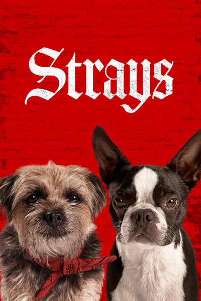 Strays 2023 1080p BluRay x264-OFT A026c9a07b65f3119a5c7ae1fc938449