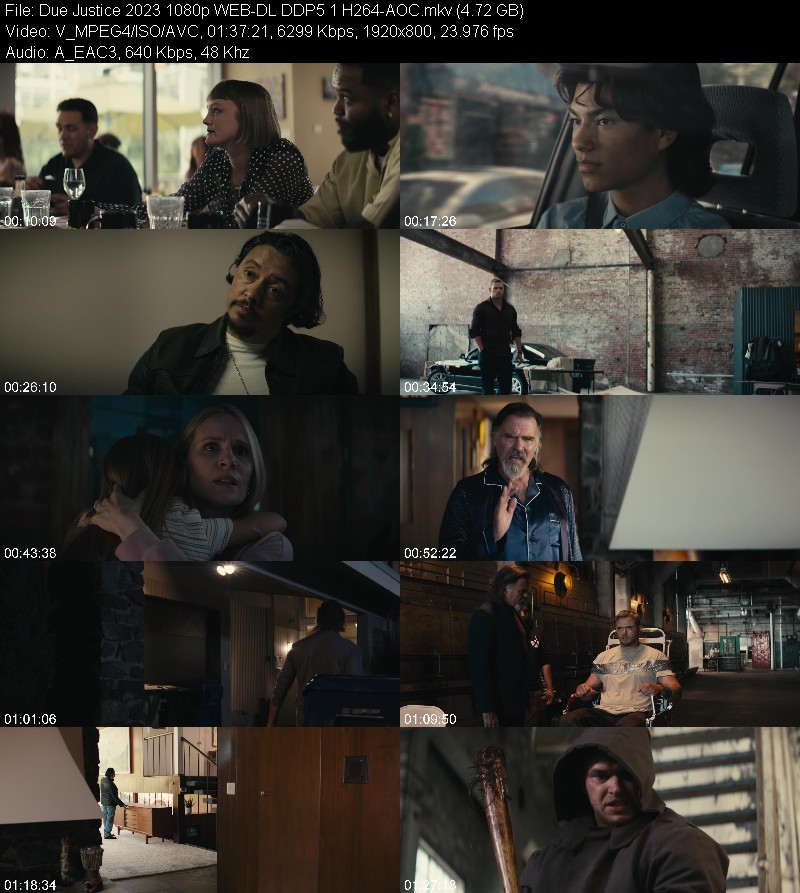 Due Justice 2023 1080p WEB-DL DDP5 1 H264-AOC B8b0c1632787111ffb525f71573c344e