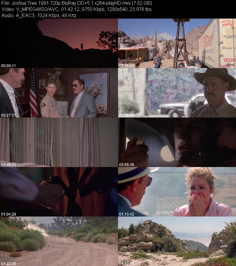 Joshua Tree 1993 720p BluRay DD+5 1 x264-playHD D5f71ad7dd2e858e3a4f395fa205f35e