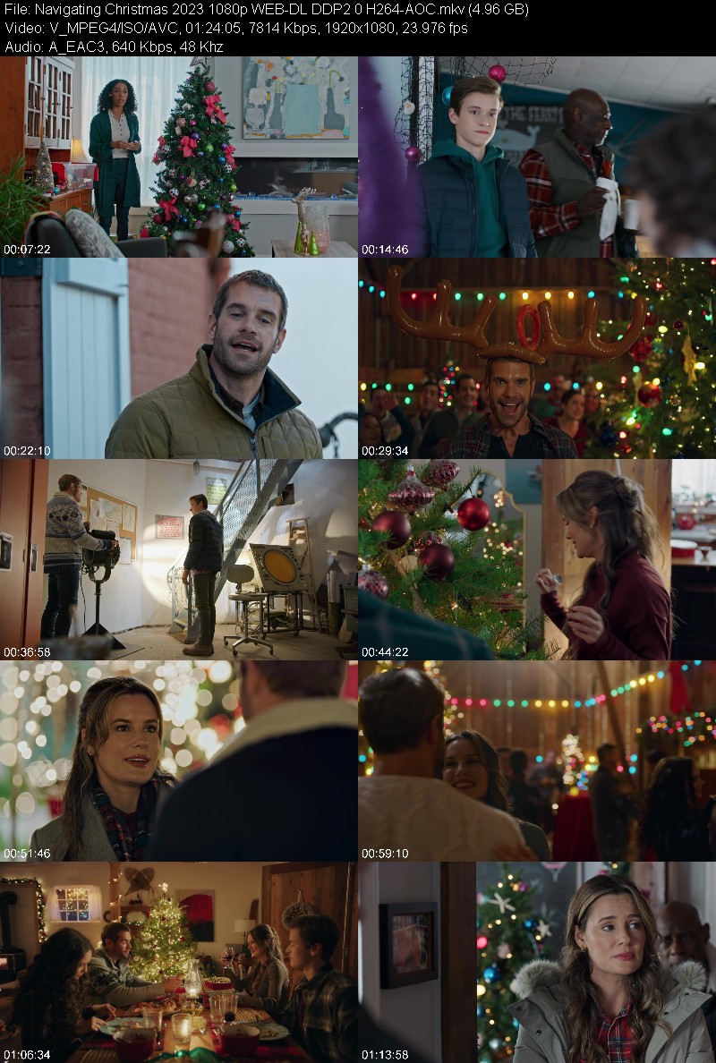 Navigating Christmas 2023 1080p WEB-DL DDP2 0 H264-AOC Bbee044bbb5e65ecf089048fa1a309dd