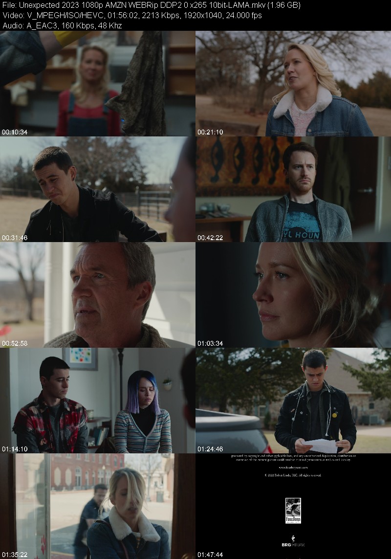 Unexpected 2023 1080p AMZN WEBRip DDP2 0 x265 10bit-LAMA D409d064468e18c03dc404fc2ec42d0a