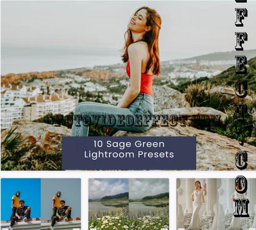 10 Sage Green Lightroom Presets - F5VXNS2