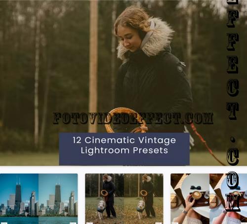 12 Cinematic Vintage Lightroom Presets - 2CUJPF7