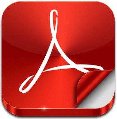 Adobe Acrobat Reader DC  2024.001.20629