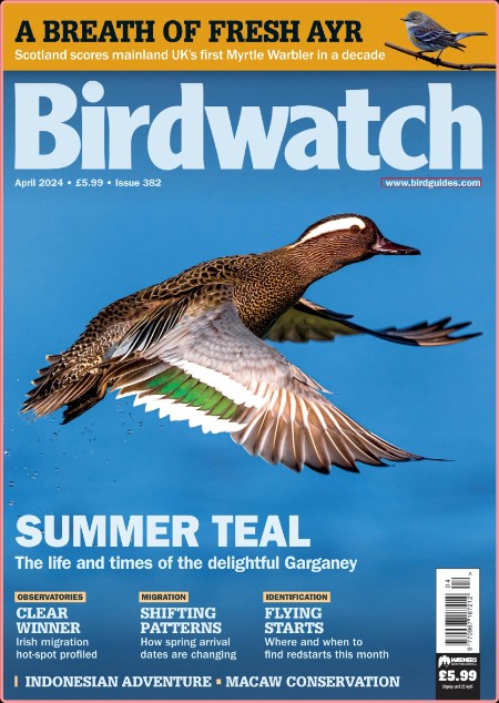 Birdwatch 04 2024