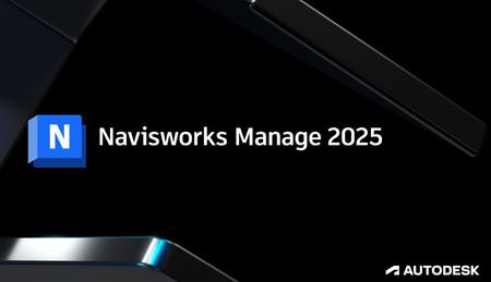 Autodesk Navisworks Manage 2025 Multlingual (x64)