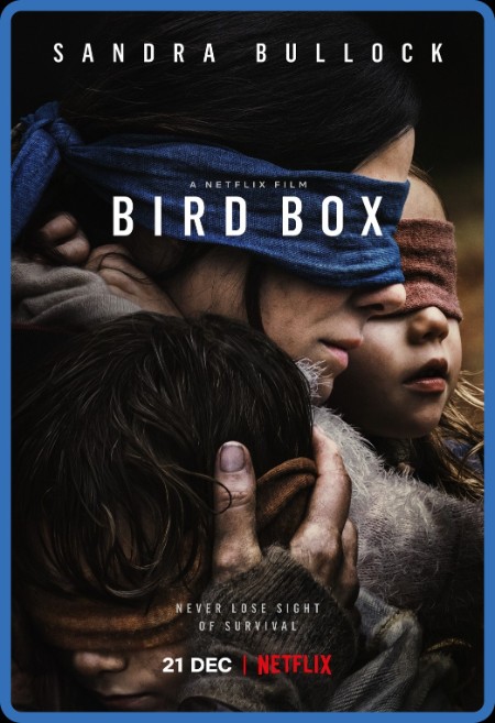 Bird Box (2018) 1080p DS4K NF WEBRip AV1 Opus 5 1-Retr0 062361c1367859675f8b771e8d72a937