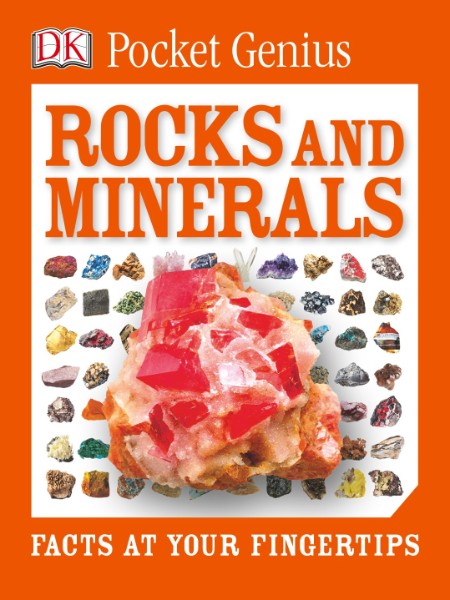 Pocket Eyewitness Rocks and Minerals by DK 121a88e245e8c04589e03ee870606e67