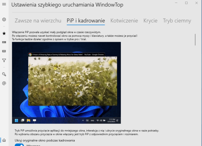 WindowTop Pro 5.22.8 (x64) MULTi-PL