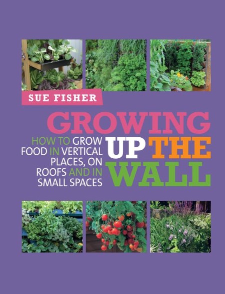 Growing Up the Wall by Sue Fisher