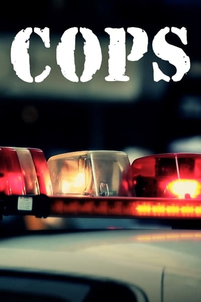 Cops S35E33 1080p HEVC x265-MeGusta