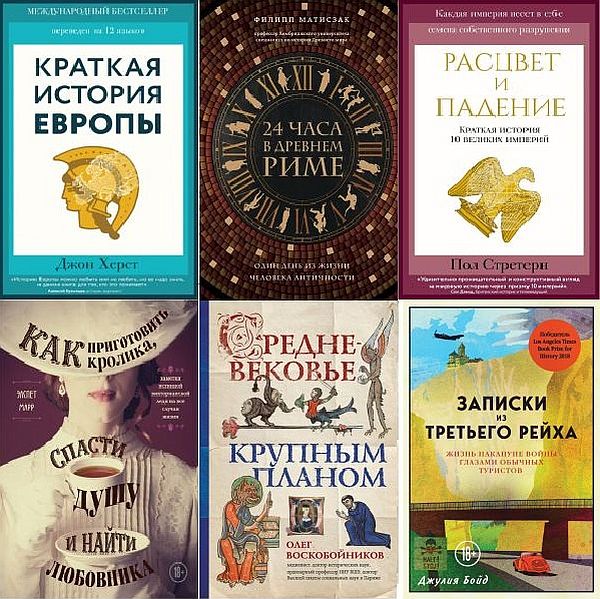 Путешественники во времени в 27 книгах (2016-2024) FB2