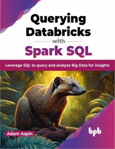 Querying Databricks with Spark SQL Leverage SQL to query and analyze Big Data for insights (English Edition)