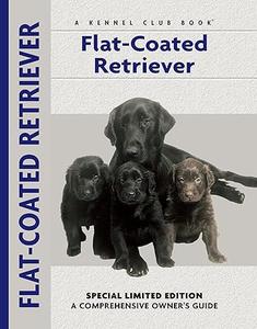 Flat–Coated Retriever