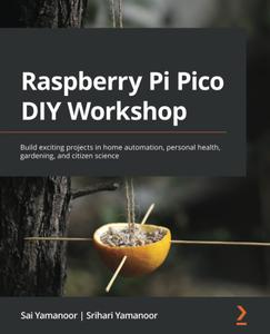 Raspberry Pi Pico DIY Workshop [2024]