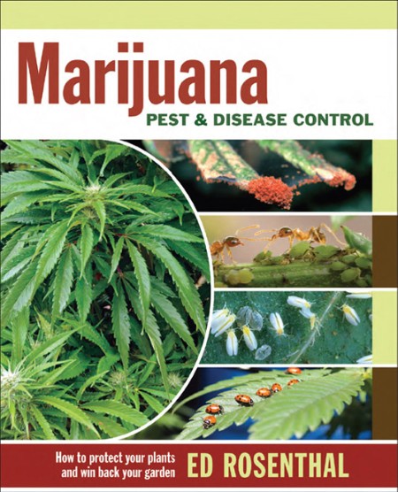 Marijuana Pest and Disease Control by Ed Rosenthal 113602c3e6df08f3c1b6604032b1d590