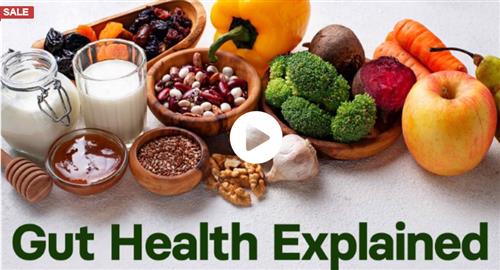 TTC – Gut Health Explained
