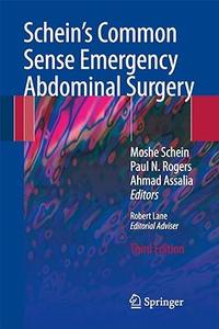 Schein's Common Sense Emergency Abdominal Surgery An Unconventional Book for Trainees and Thinking Surgeons (2024)