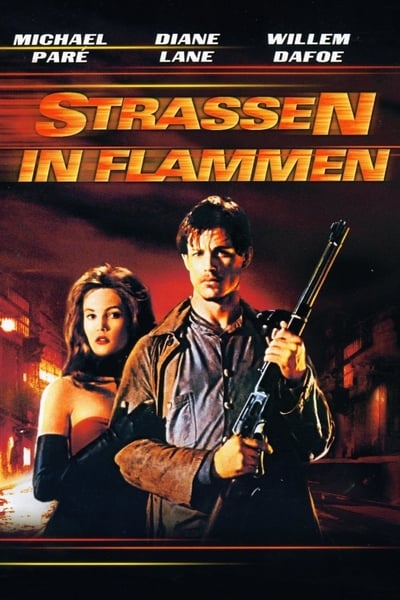 Black Strassen in Flammen 2009 German AC3 BDRip x264 - SnAkE