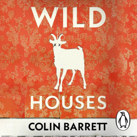 Colin Barrett - Wild Houses