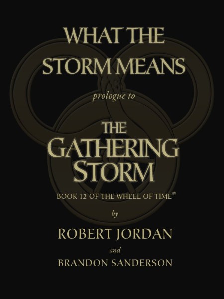 What the Storm Means by Robert Jordan 8ef60b3d2bd2806c419eccbb7e51063d